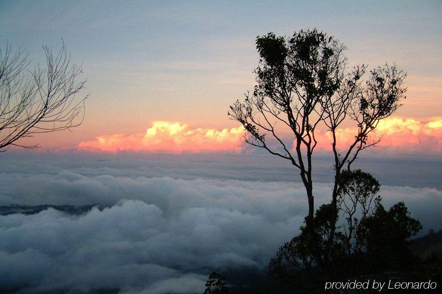 Holiday Heaven Munnar Chinnakanal Exterior foto